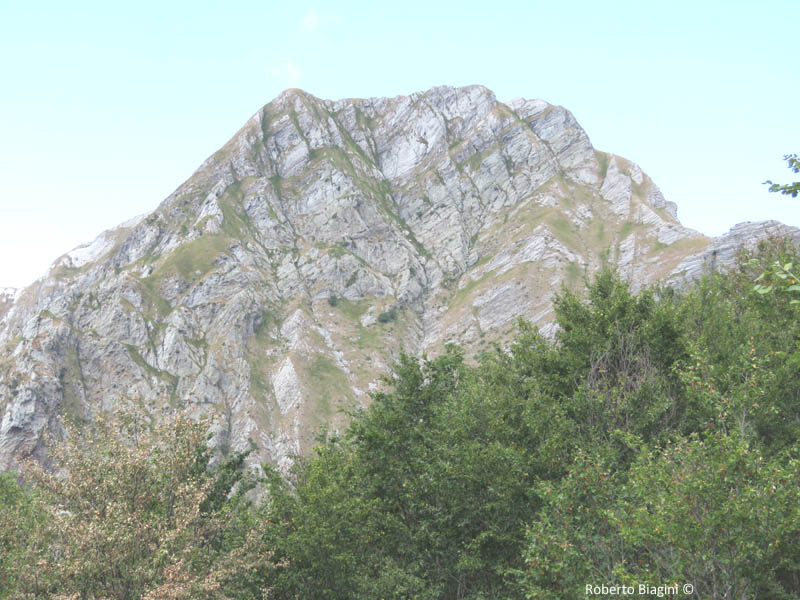 MONTE PISANINO